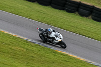 PJ-Motorsport-2019;anglesey-no-limits-trackday;anglesey-photographs;anglesey-trackday-photographs;enduro-digital-images;event-digital-images;eventdigitalimages;no-limits-trackdays;peter-wileman-photography;racing-digital-images;trac-mon;trackday-digital-images;trackday-photos;ty-croes